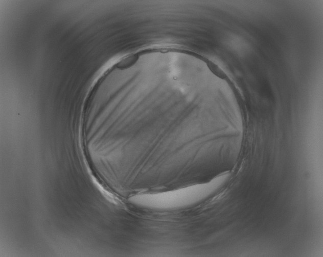 X0000080751245200701121955