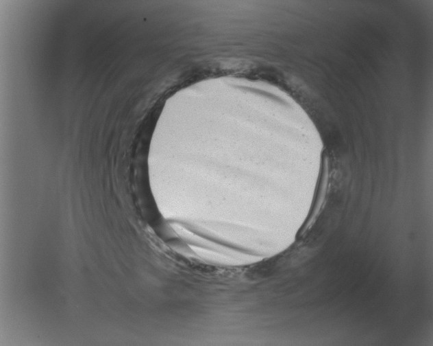X0000080751249200701121954