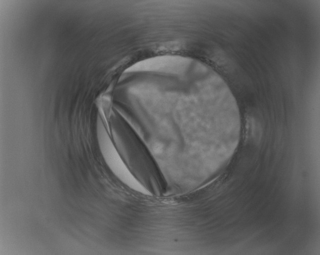 X0000080751250200701121954
