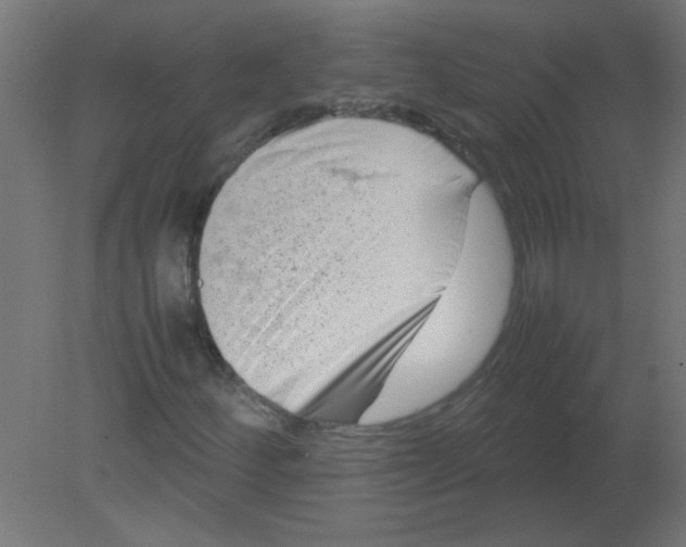 X0000080751252200701121954
