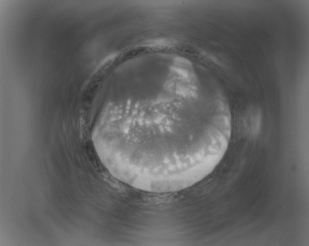 X0000080751254200701121954