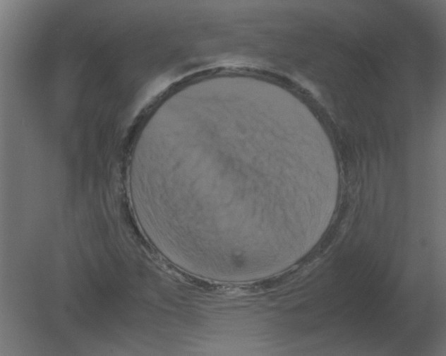 X0000080751263200701121954