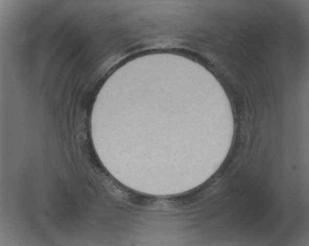 X0000080751265200701121954