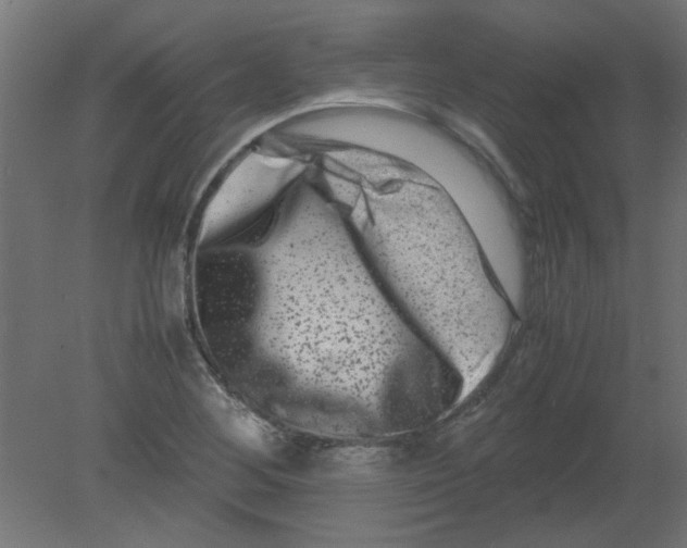 X0000080751268200701121954