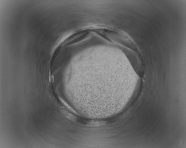 X0000080751269200701121954