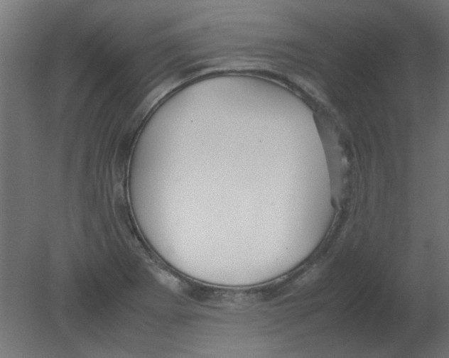 X0000080751273200701121953