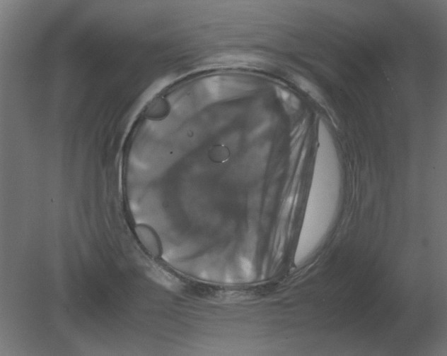 X0000080751275200701121953