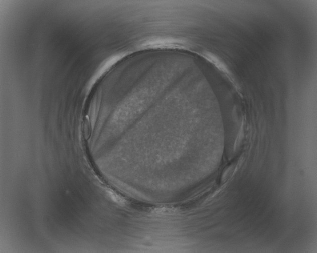 X0000080751277200701121953