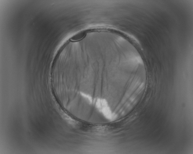 X0000080751279200701121953