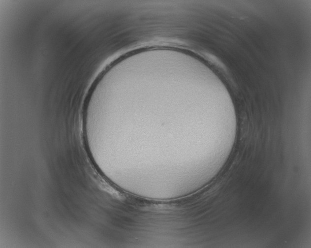 X0000080751280200701121953