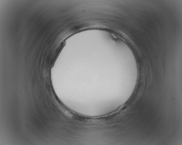 X0000080751281200701121953