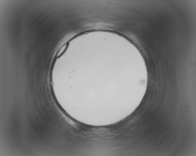 X0000080751285200701121953