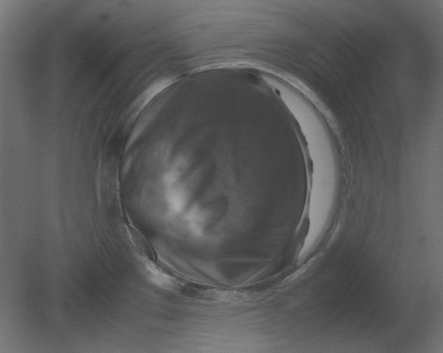 X0000080751289200701121953