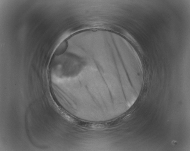 X0000080751291200701121953