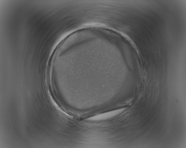 X0000080751295200701121953