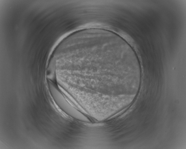 X0000080751296200701121953