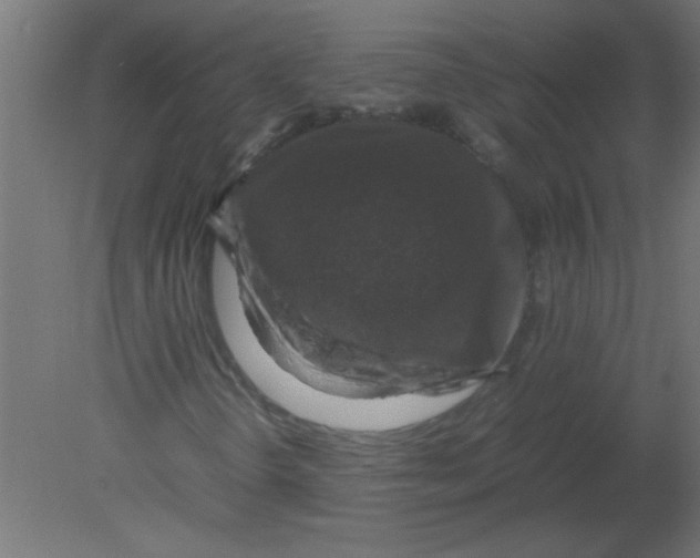 X0000080751298200701121952