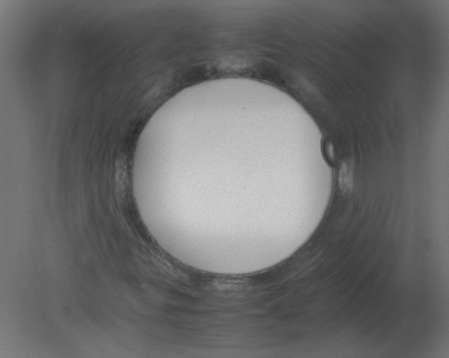X0000080751299200701121952
