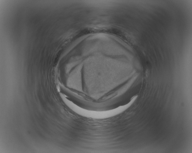 X0000080751300200701121952
