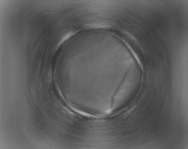 X0000080751306200701121952
