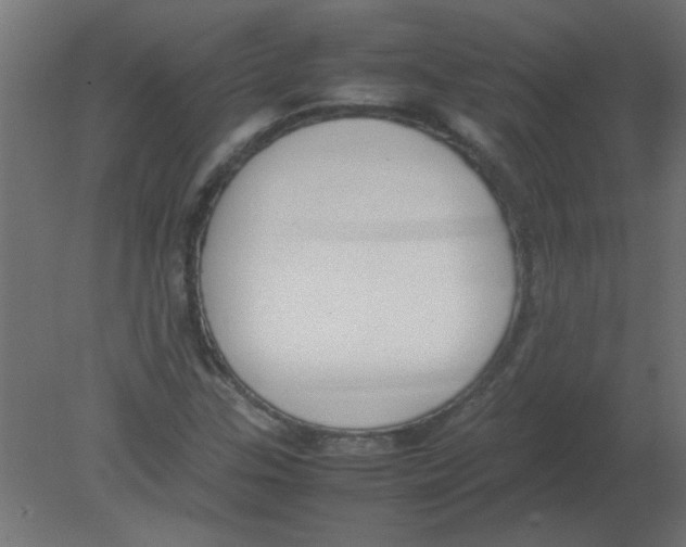 X0000080751307200701121952