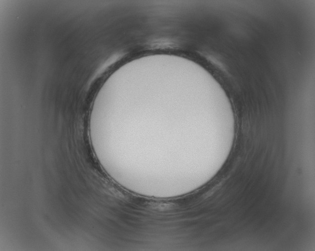 X0000080751309200701121952