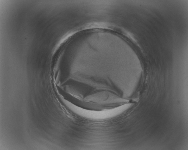 X0000080751312200701121953