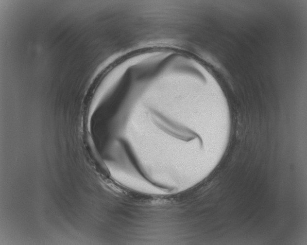 X0000080751316200701121953