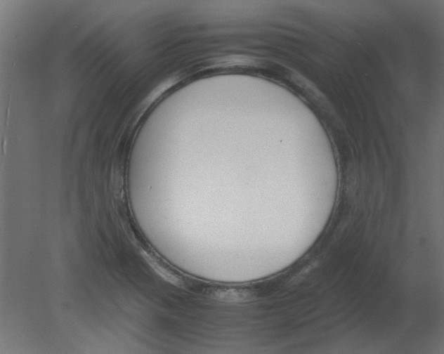 X0000080751321200701121953