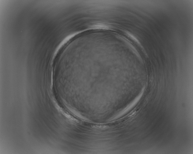 X0000080751323200701121953