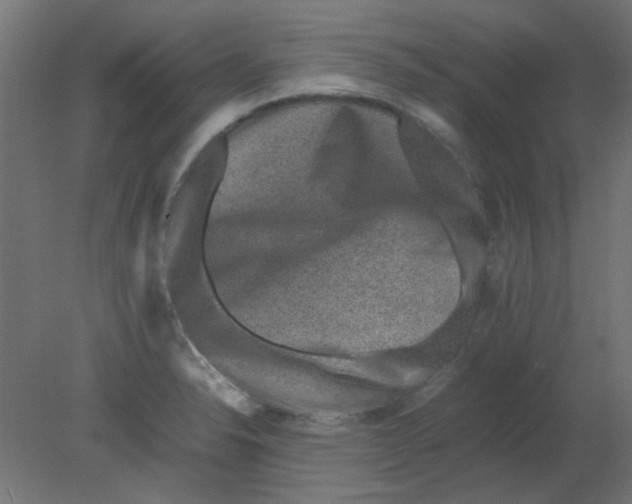 X0000080751326200701121953