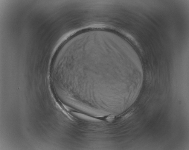 X0000080751327200701121953