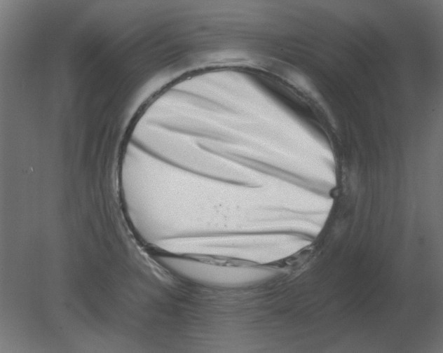 X0000080751328200701121953