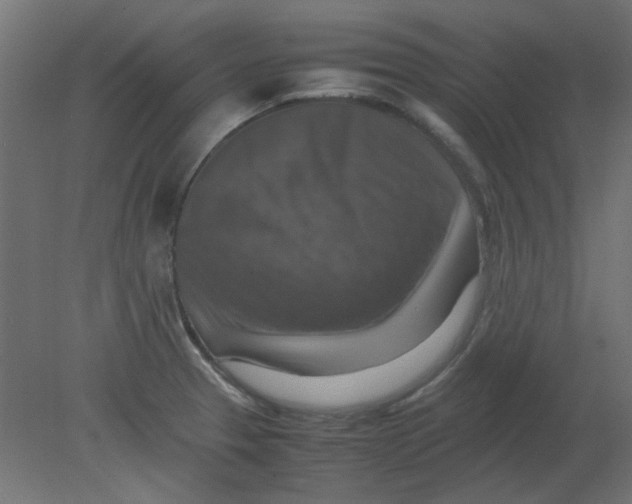 X0000080751329200701121953