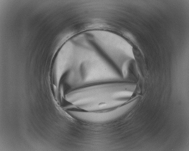 X0000080751330200701121953