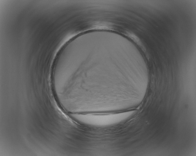 X0000080751331200701121953