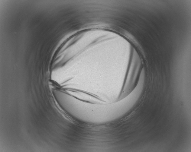 X0000080751332200701121953
