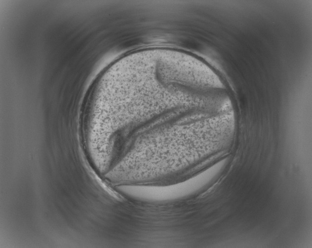 X0000080751333200701121953