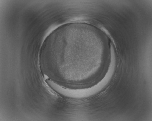 X0000080751336200701121953