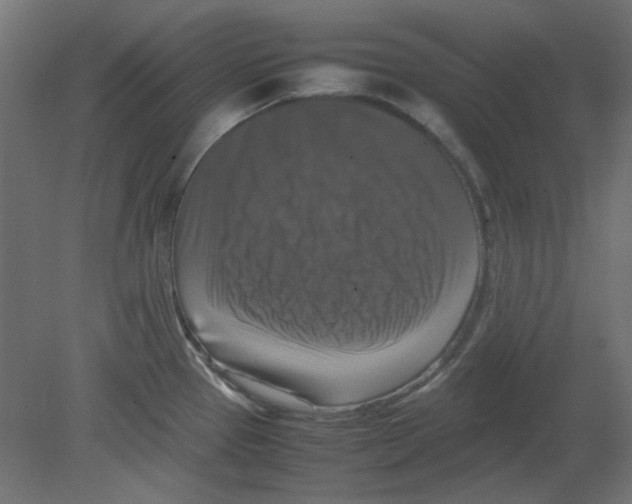 X0000080751337200701121953