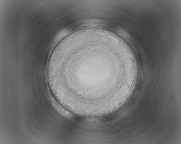 X0000080751338200701121953