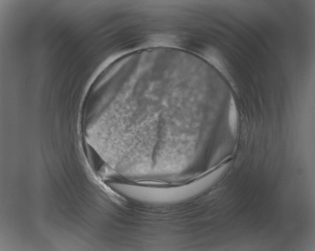 X0000080751339200701121953