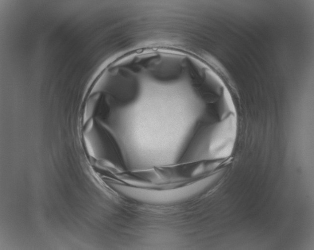 X0000080751340200701121953