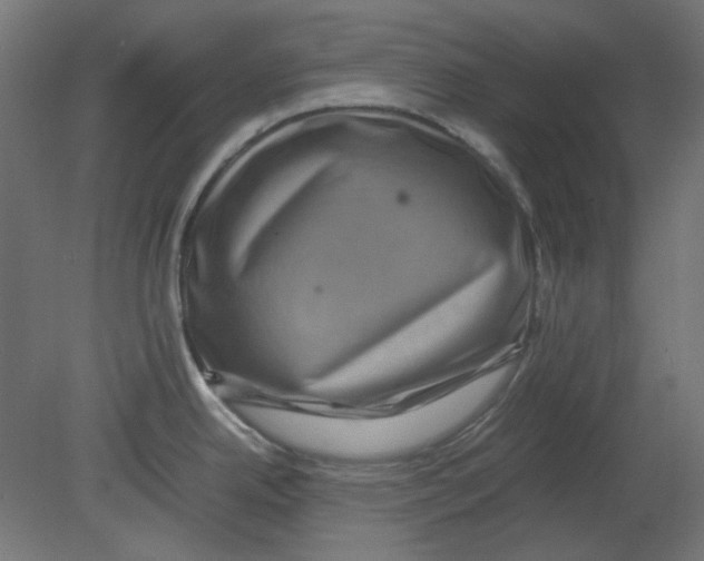 X0000080751342200701121953