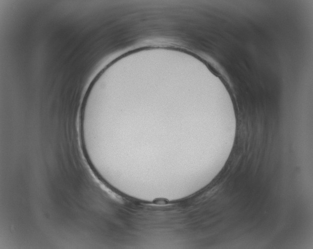 X0000080751343200701121953