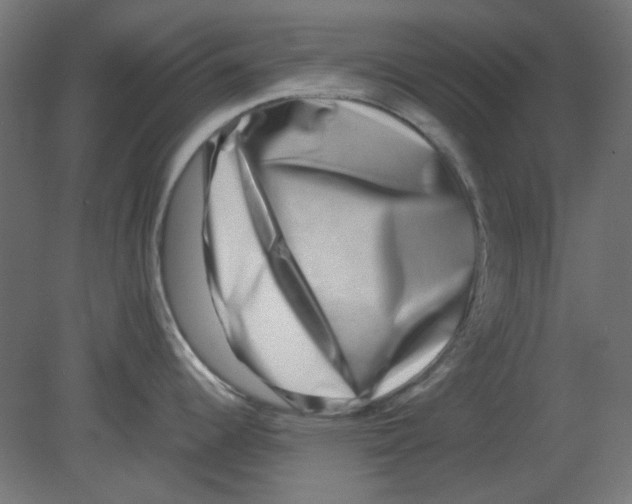 X0000080751344200701121953