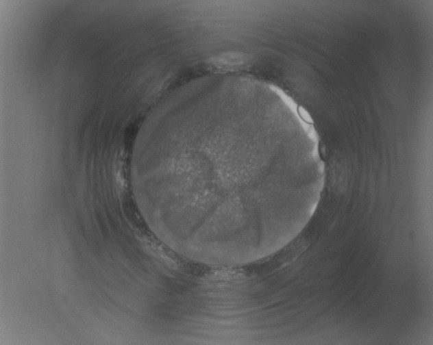 X0000080751346200701121952