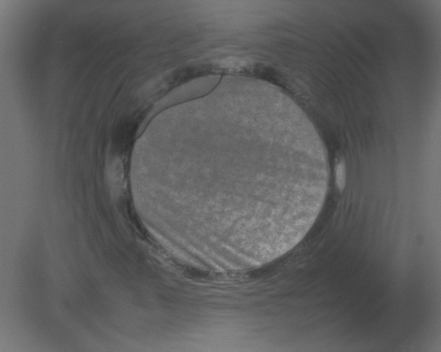 X0000080751347200701121952