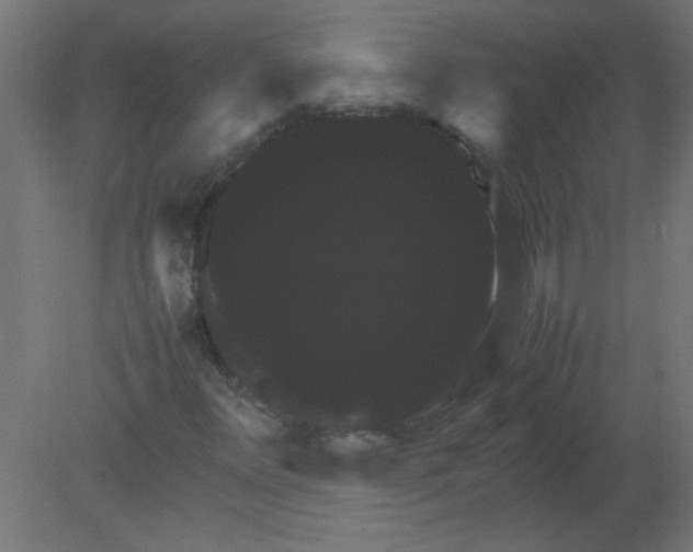 X0000080751348200701121952