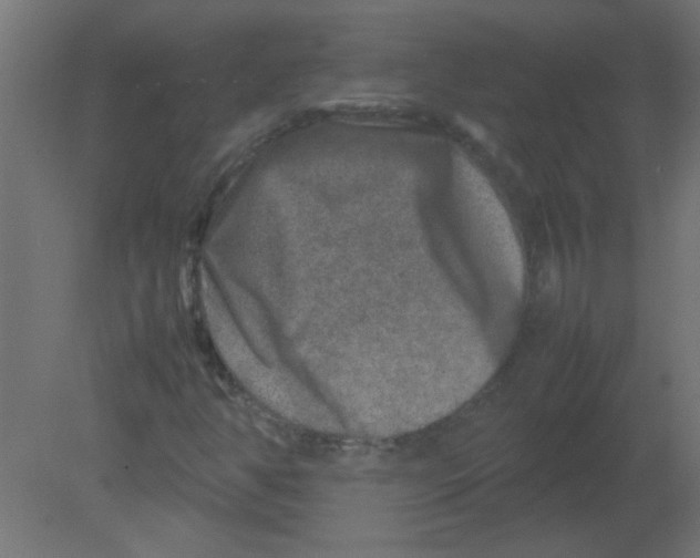 X0000080751350200701121952